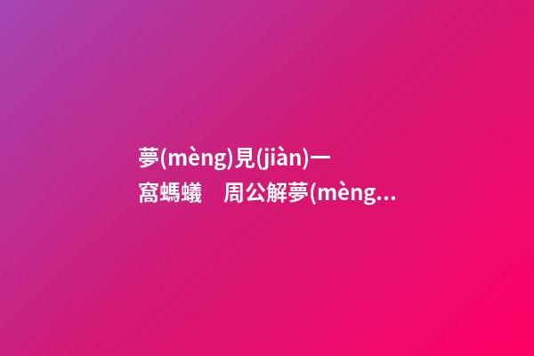 夢(mèng)見(jiàn)一窩螞蟻　周公解夢(mèng)之夢(mèng)到一窩螞蟻